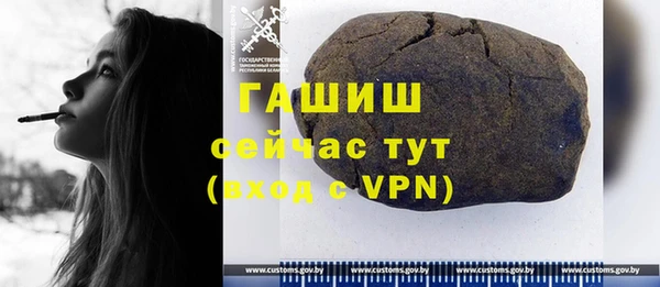 индика Беломорск