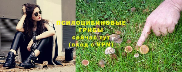 индика Беломорск