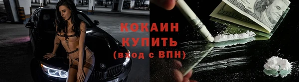 индика Беломорск