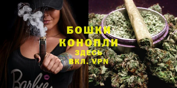 марки lsd Белокуриха