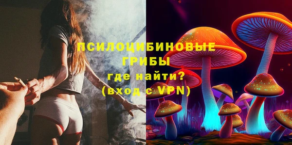 индика Беломорск