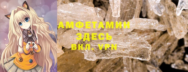 индика Беломорск