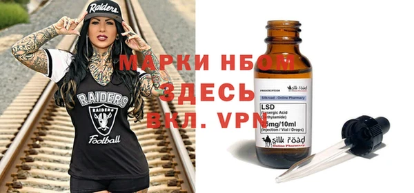 индика Беломорск