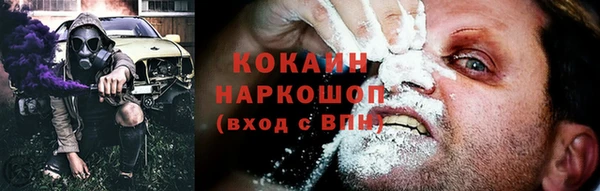 индика Беломорск