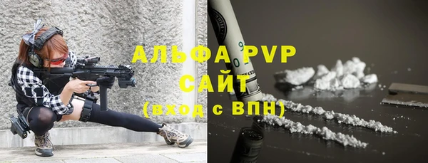 индика Беломорск