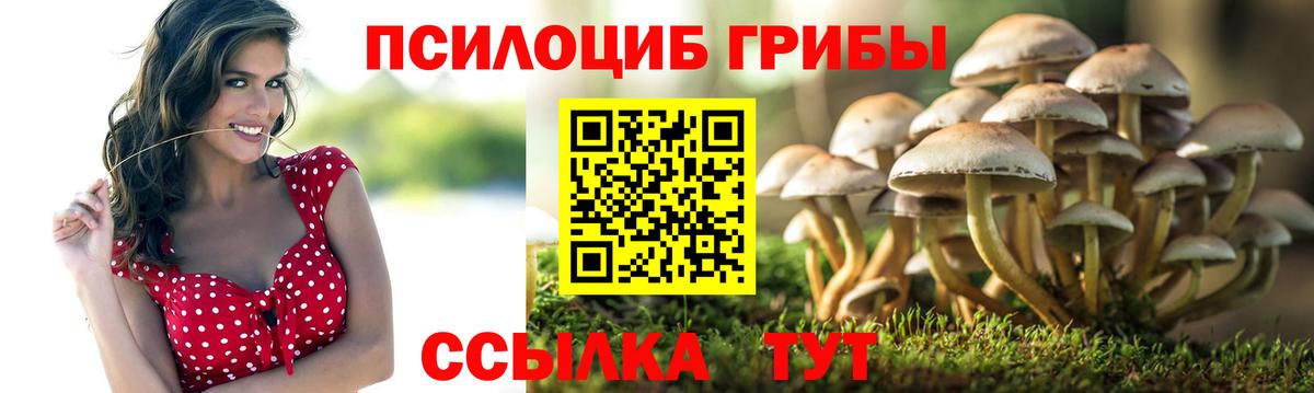 Псилоцибиновые грибы прущие грибы Верхний Уфалей